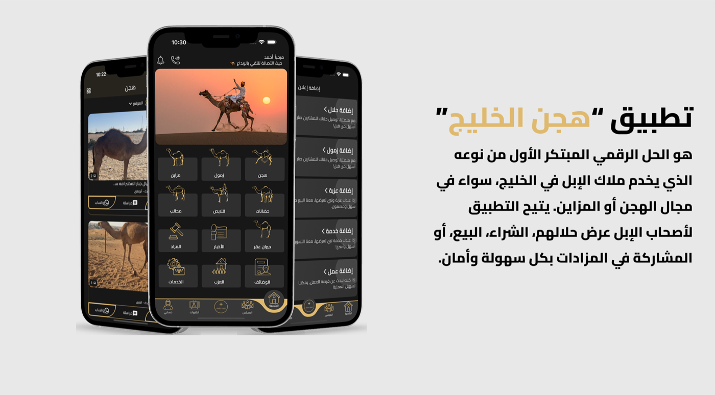 هجن الخليج